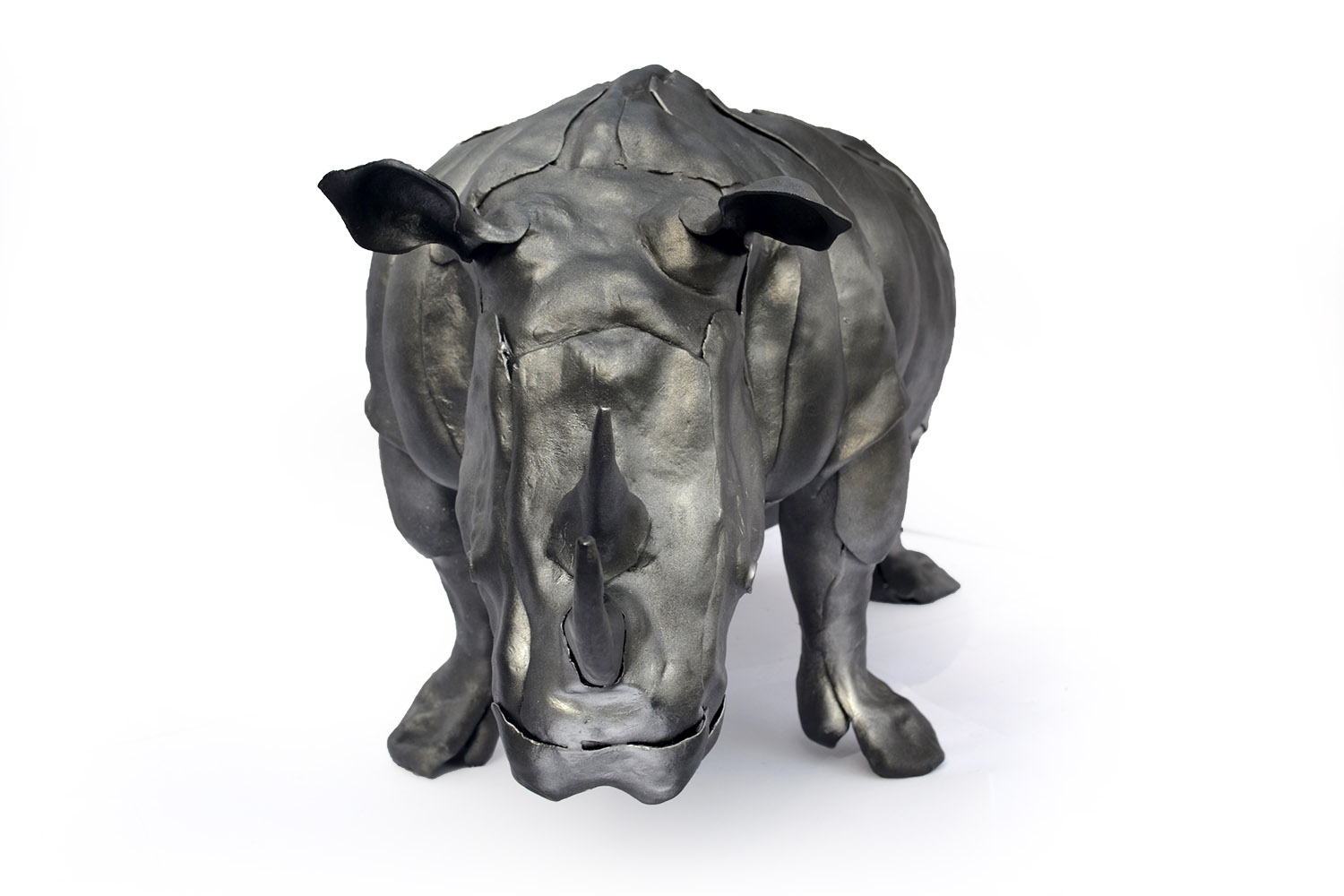 Носорог изображение 2