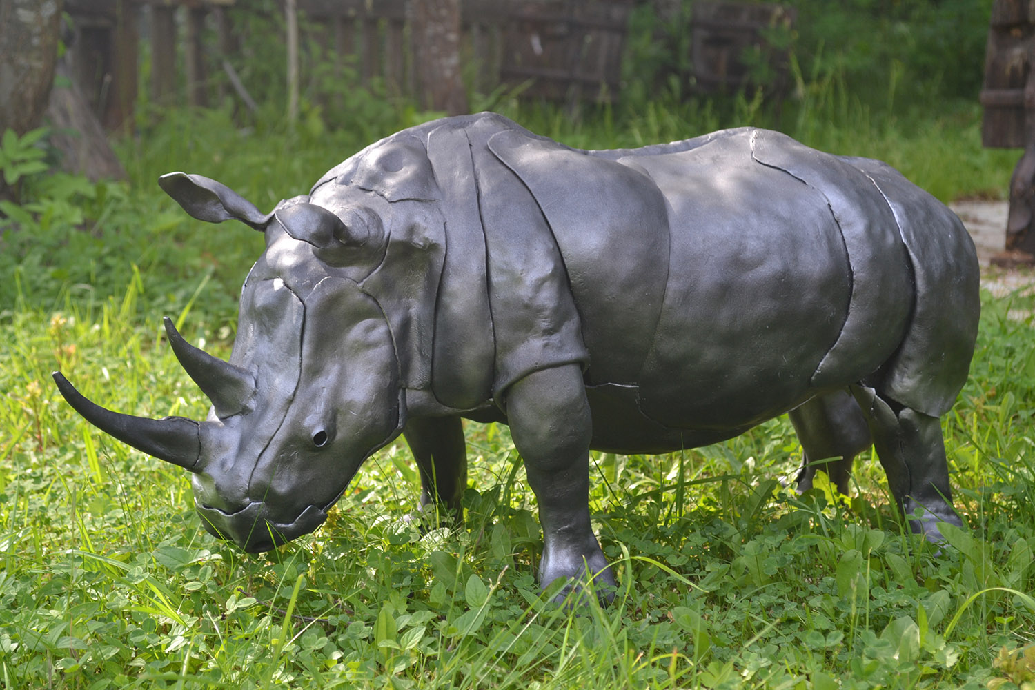 Носорог изображение 6